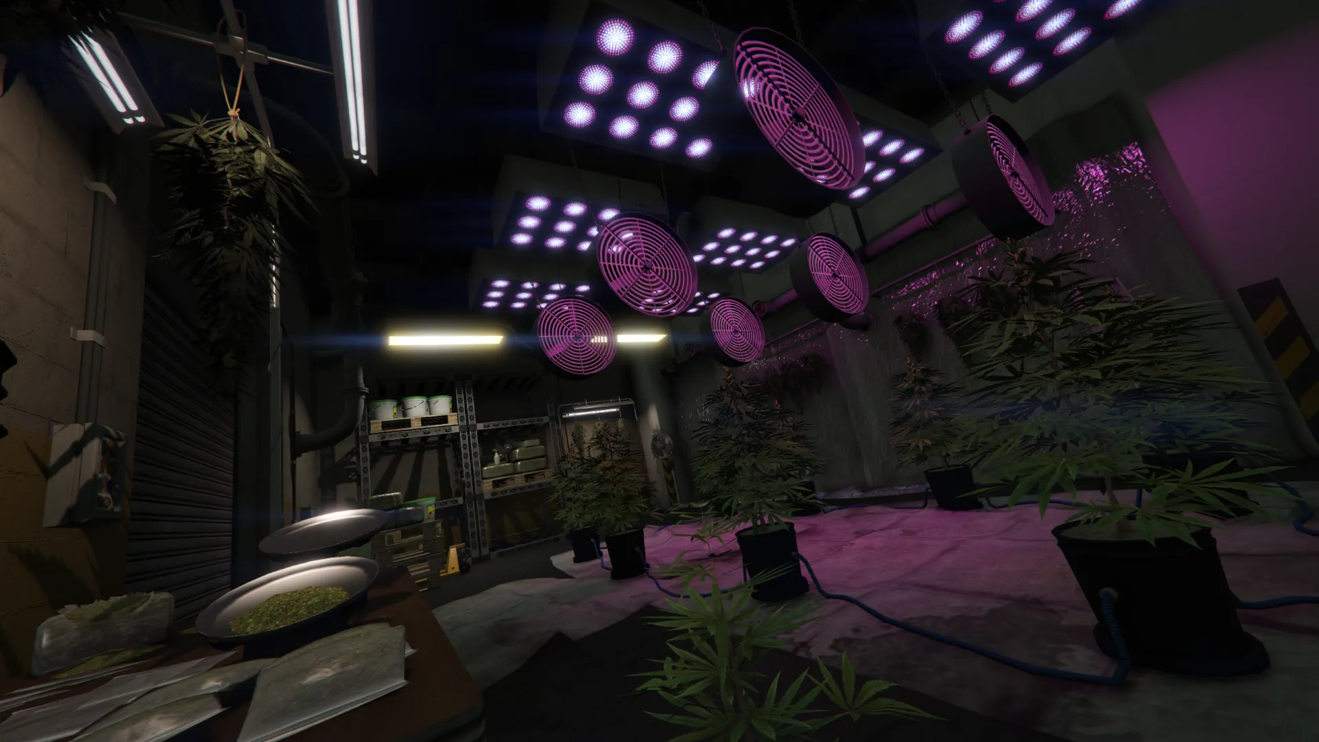 Small warehouse cannabis farm setup GTA V FiveM Interior MLO